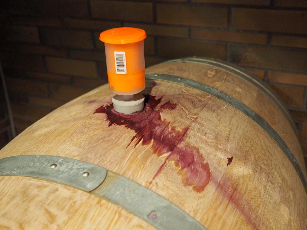  Very first wine put in a cask in NIKI Hills in October 2015