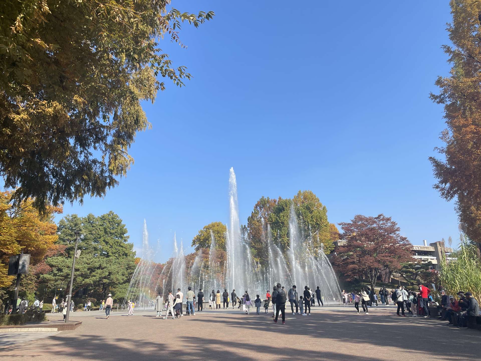 勢いよく放つ噴水ショー