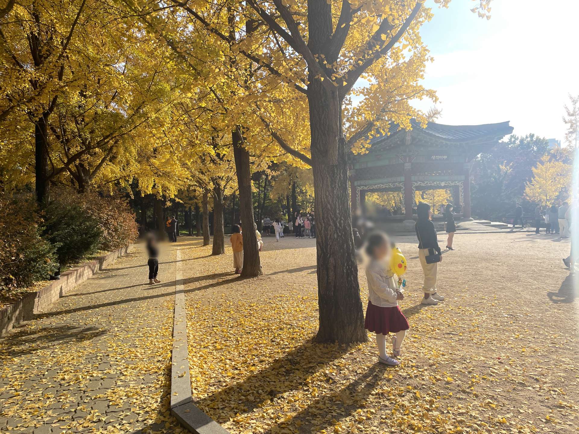 銀杏と写真を撮る人々