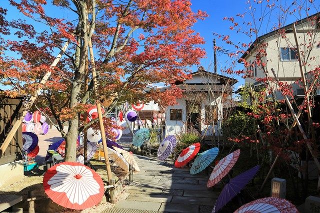 
須賀川市本町にある風流のはじめ館へ行って来ました。
敷地内で催されている和傘アートの昼夜の様子を伺います。
今年は、昨年より多い150本がディスプレイされているとのことです。
（10/30で終了）