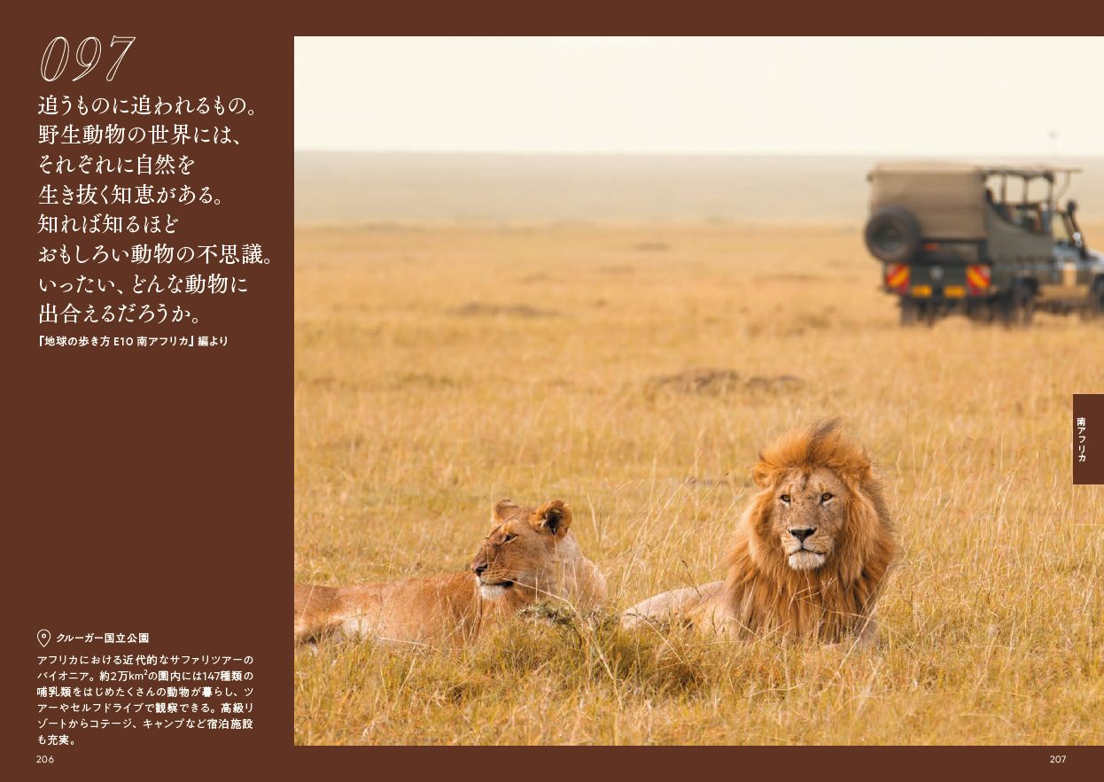 サバンナに横たわる、「百獣の王」ライオン。気高きその姿に目を見張る