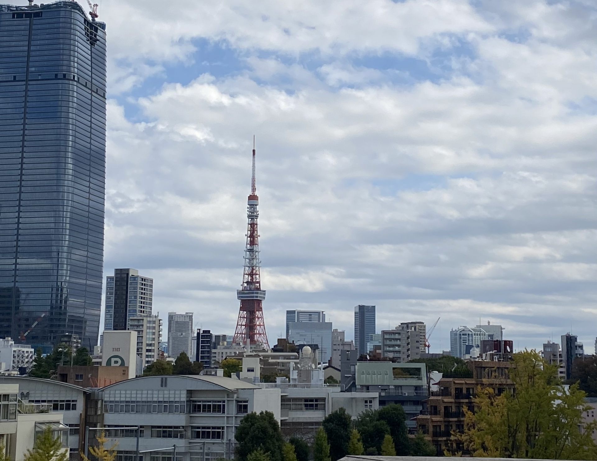 六本木ヒルズから見た東京タワー
せっかくなので東京らしい写真を載せてみました♪