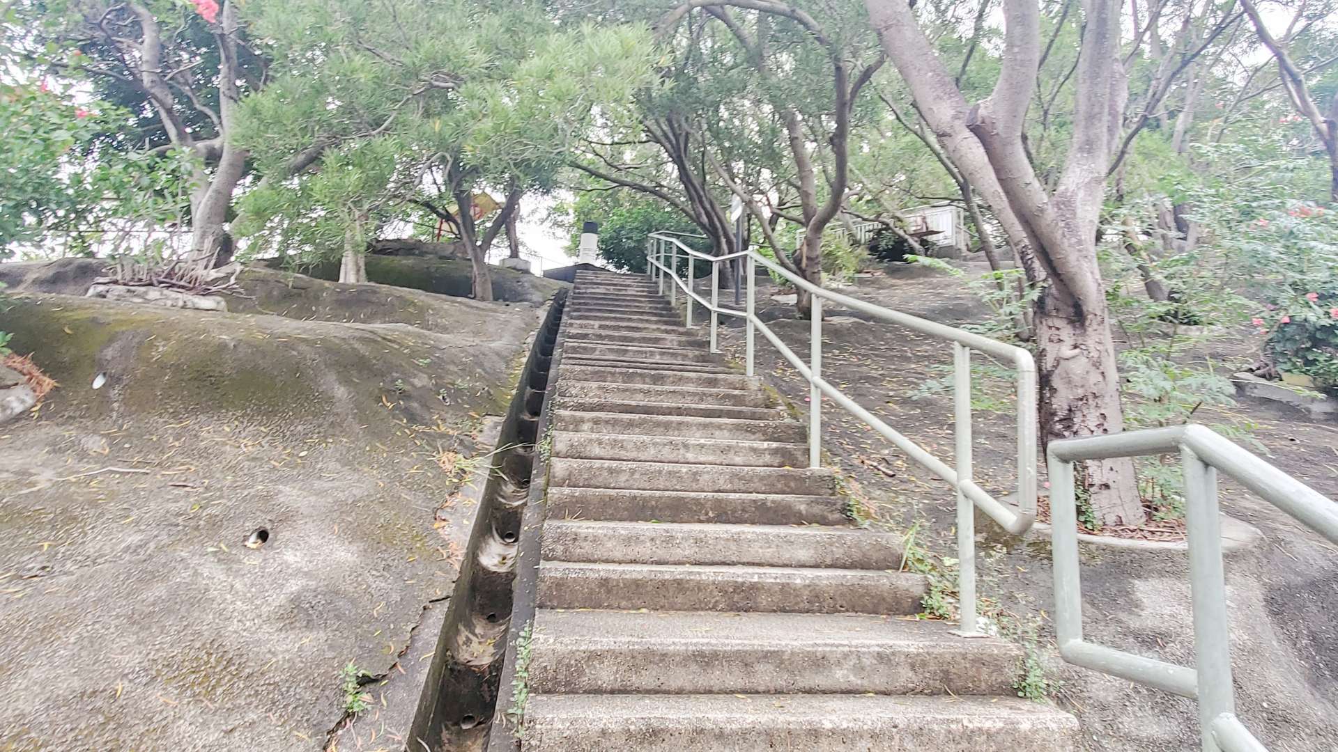 山頂に続く階段