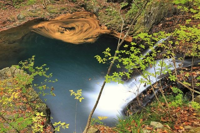 滝そのものは決して大きくありませんが、豊かな滝つぼとそこに浮かぶ落ち葉が見る者を魅了します。