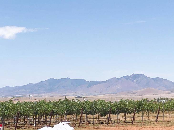 アリゾナワインの産地、SONOITA