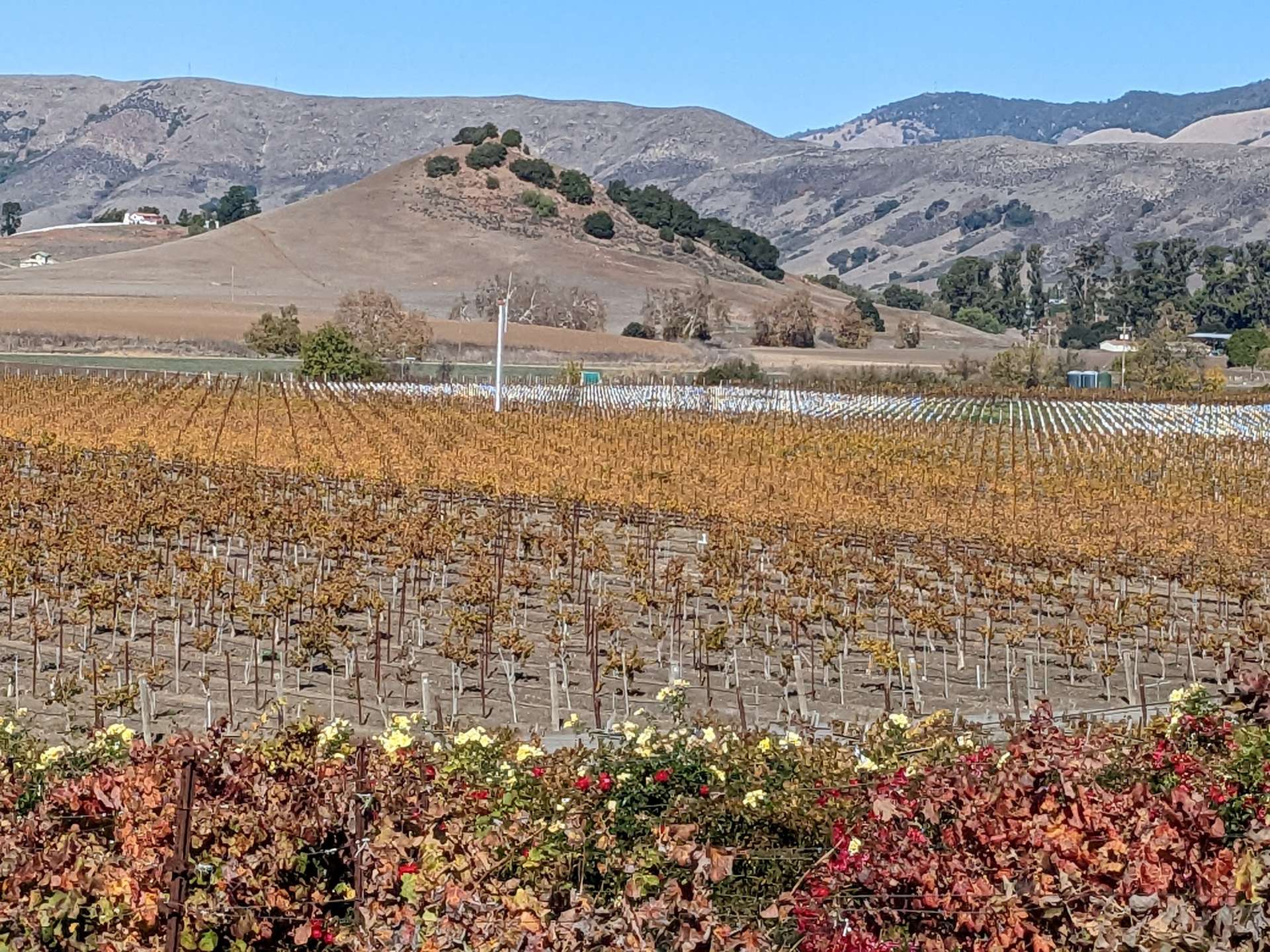 ピズモビーチ 太陽と山とビーチ そしてワインが満喫できる観光地 地球の歩き方