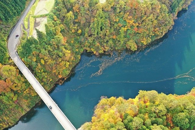 歳時記橋付近を俯瞰すると、紅葉と只見川のコントラストが印象的です。
川面に浮か落葉も日が当たると輝いて見えます。