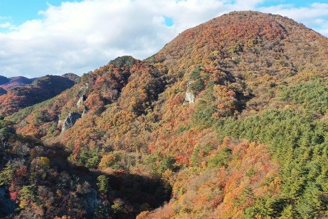 紅葉の全体的なイメージは、里山らしく決して鮮やかだったり華やかなものではありません。