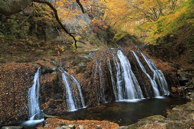 岩塊に積もる落葉がいいアクセントなっています。
なお、見た目上の大部分は段瀑の最下段となります。