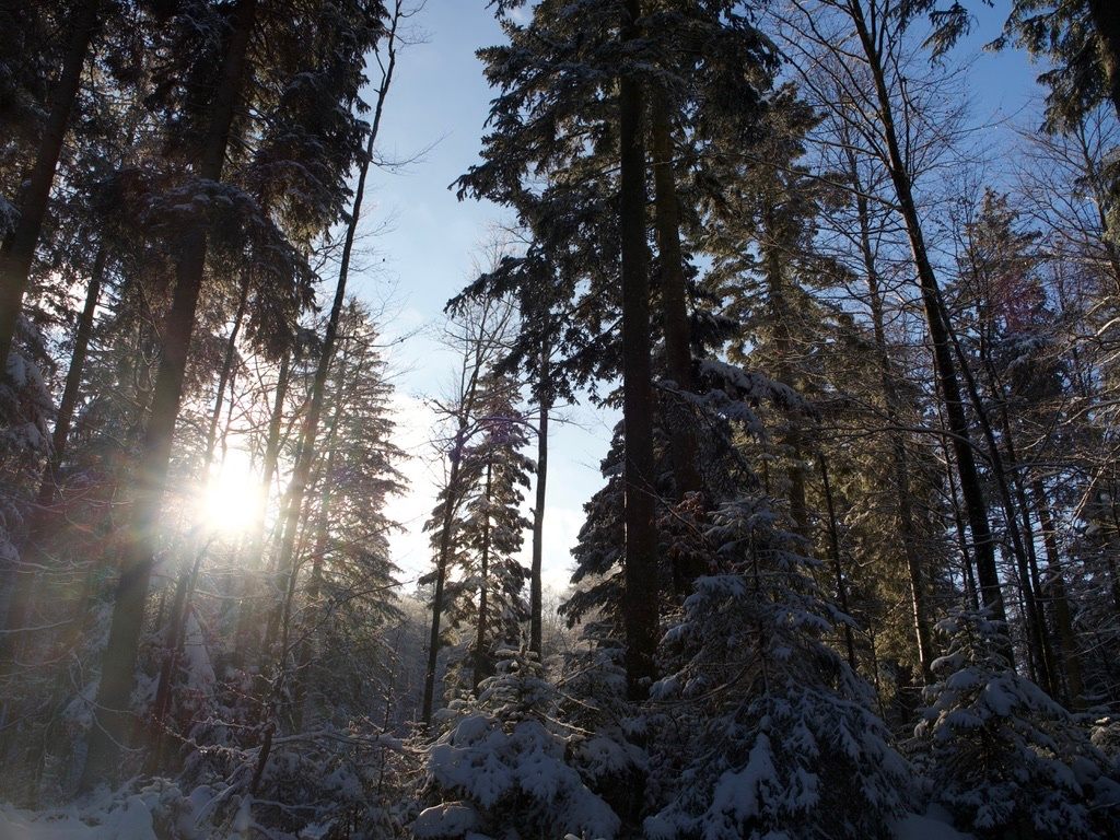 太陽が有難い、寒い冬の日