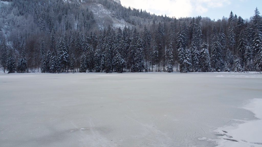 湖には氷
