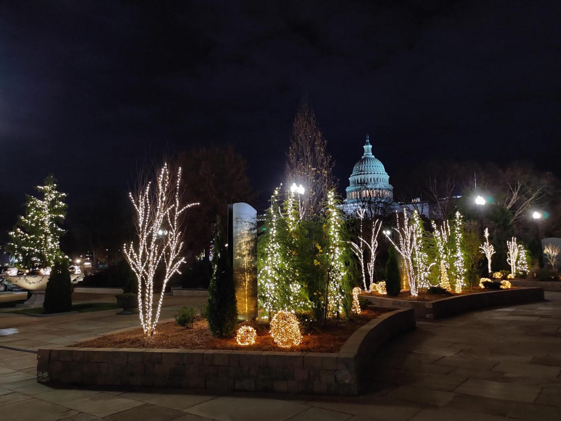 アメリカ植物庭園から眺める国会議事堂