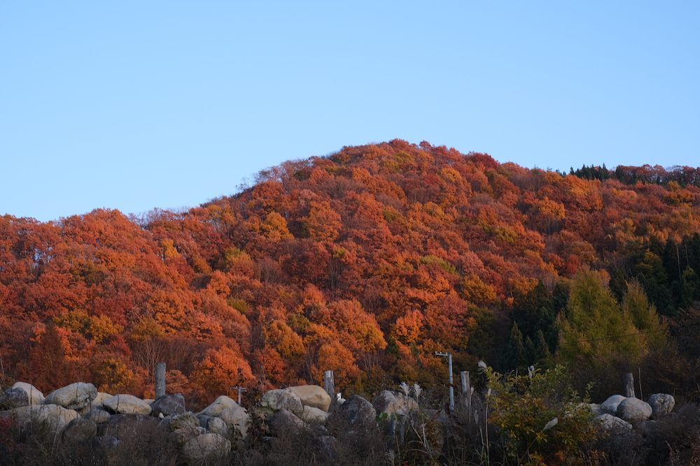 蔵王連峰の美しい紅葉