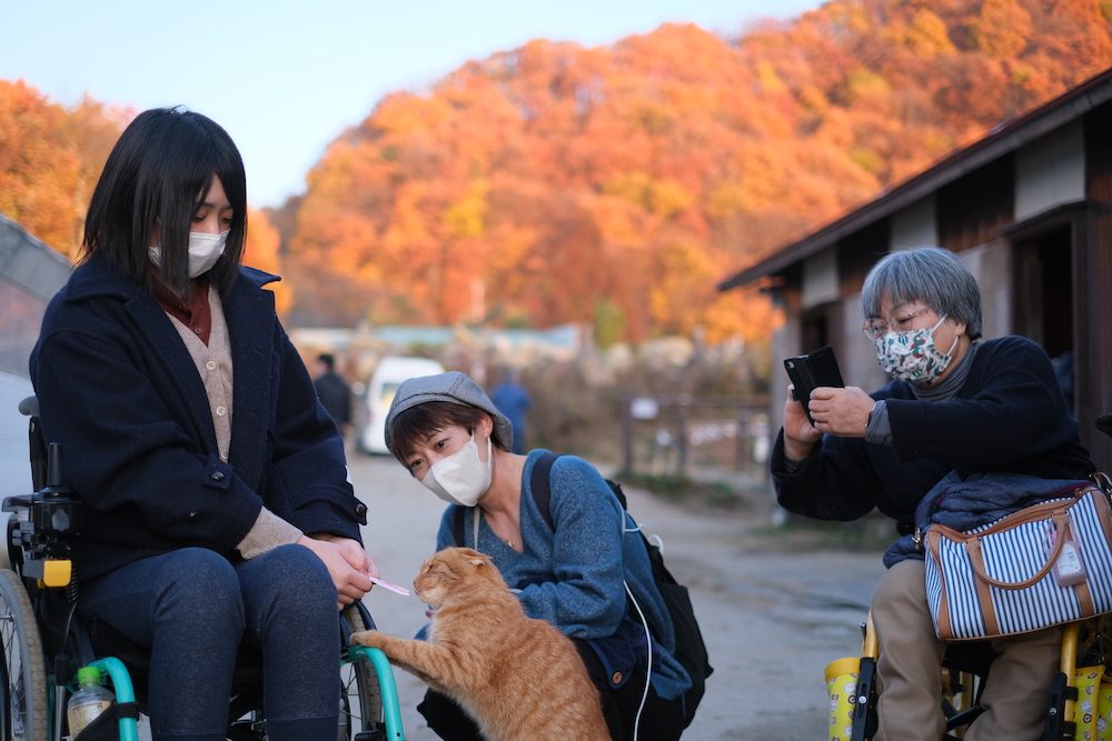 猫とも触れ合えます。写真を撮るのはモニターの宍戸かつ子さん