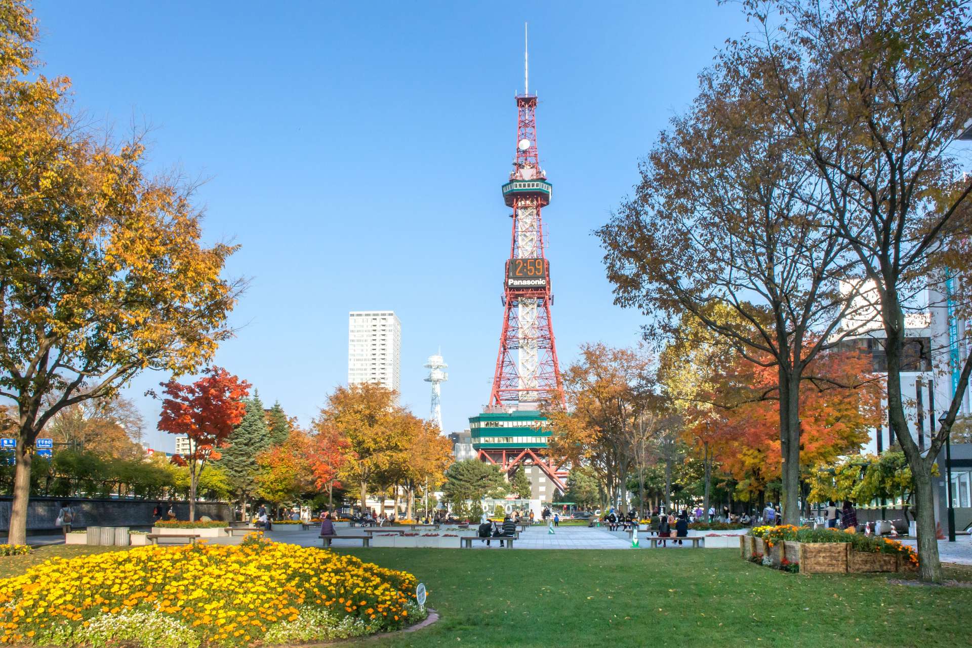 自然豊かな大通公園とテレビ塔　©PIXTA