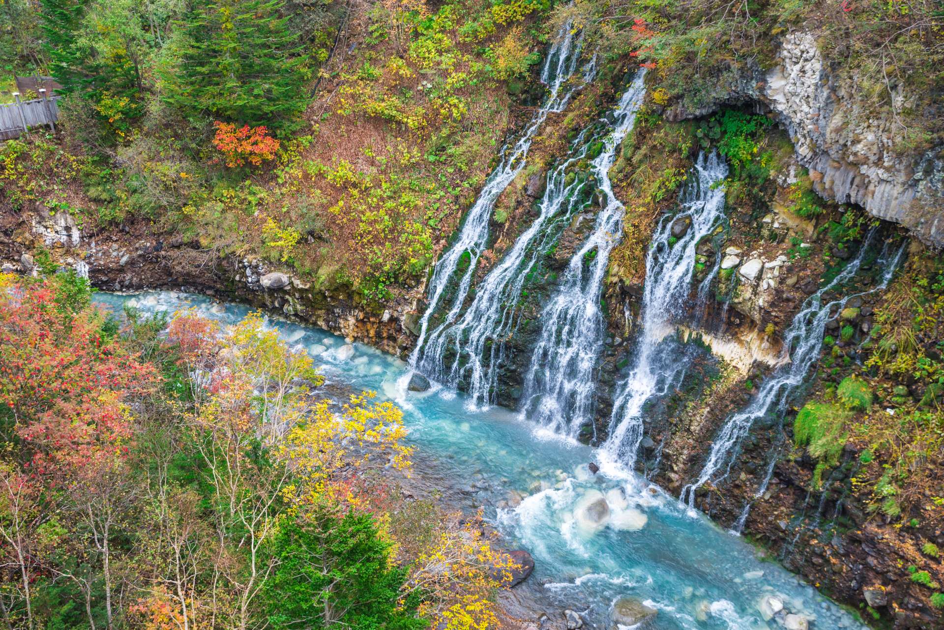 白ひげの滝は岩の割れ目から水が染み出している　©PIXTA