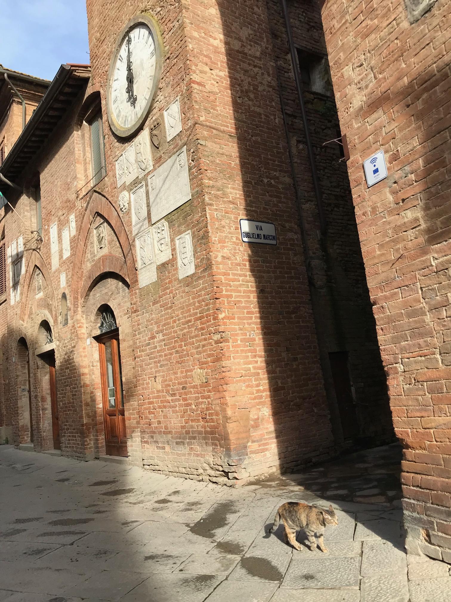 歴史を感じさせる建物(Palazzo del Podestàと時計塔)の前を歩く猫も絵になりますね。