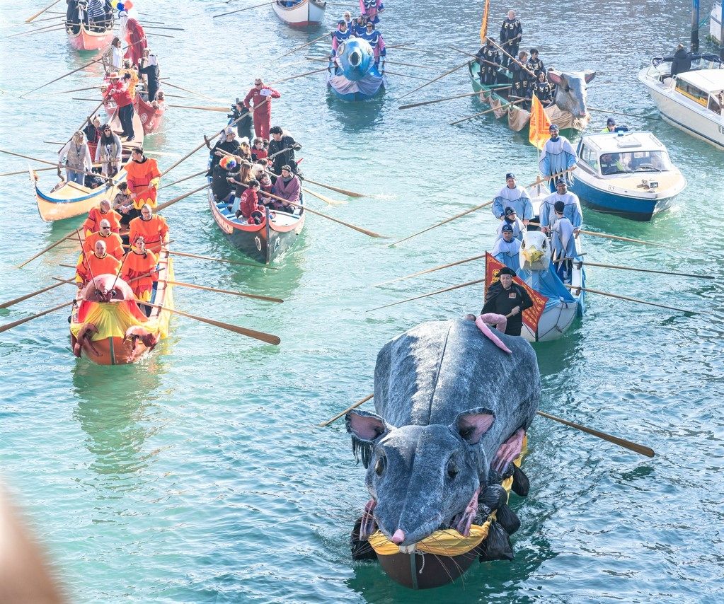 かわいいどぶネズミのボート「パンテガーナ」の水の行進 ©iStock