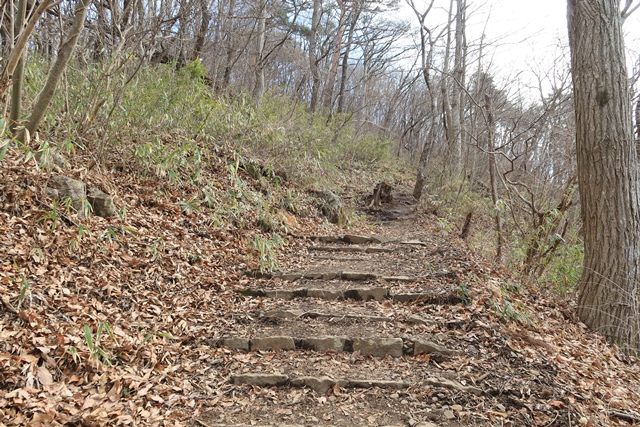 緩やかに登り返して宇津峰の山頂へと進みます。