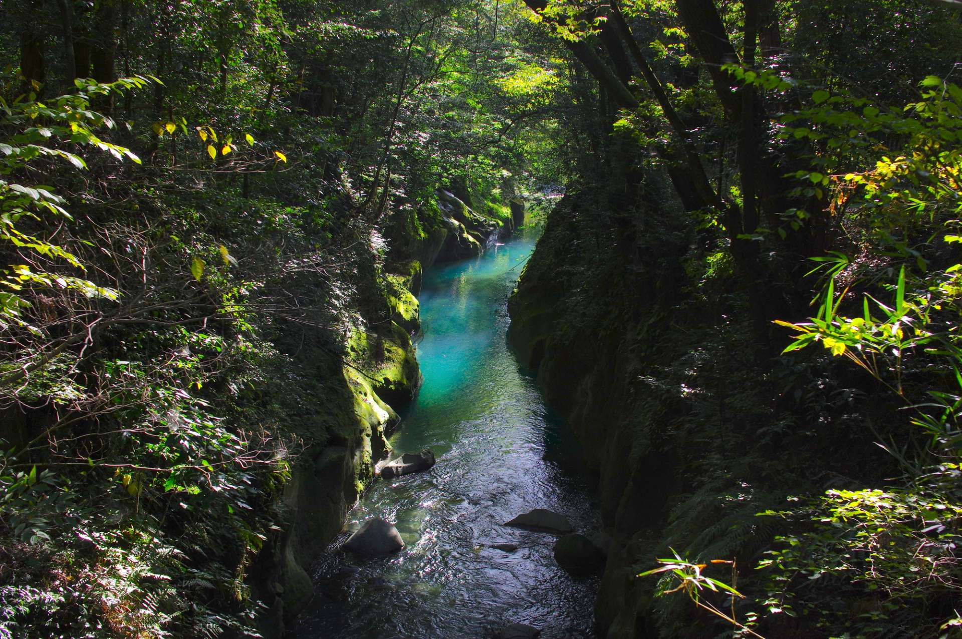 渓谷を流れる川の水が、青みがかって見えるのが印象的　©miracle8/PIXTA（ピクスタ）