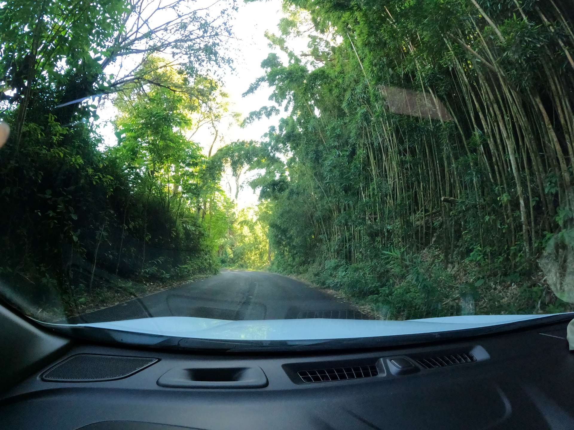 大きい車をレンタルしたので、すごく運転しやすかったです。