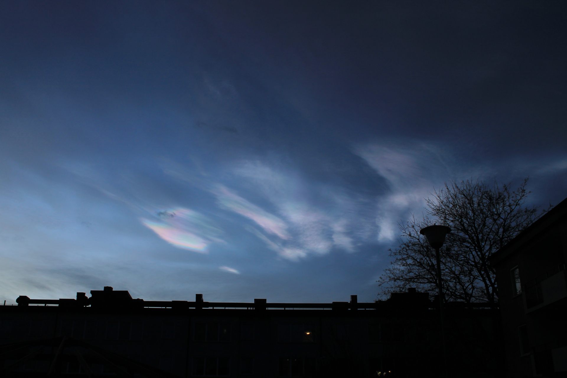  夕日が沈む前の真珠母雲の様子（2023年1月28日撮影）