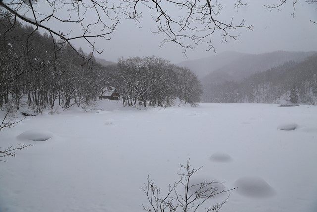 大沢沼もほぼ結氷していました。