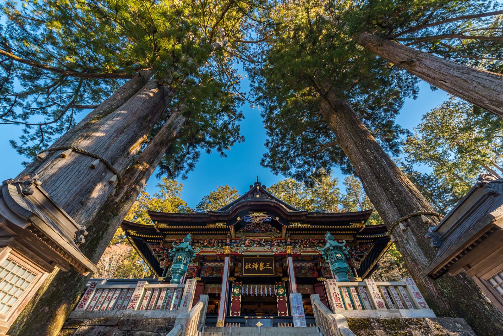 三峯神社の拝殿前のご神木は畠山重忠が奉献したと伝わる