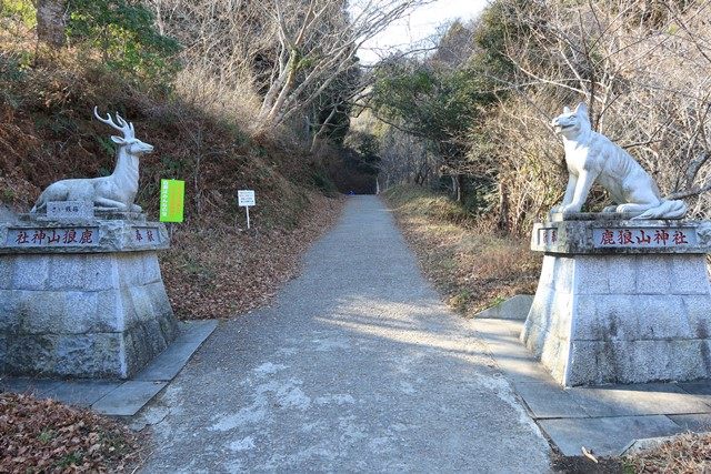 鳥居をくぐって直ぐの狛犬は、犬ならぬ"鹿"と"狼"です。