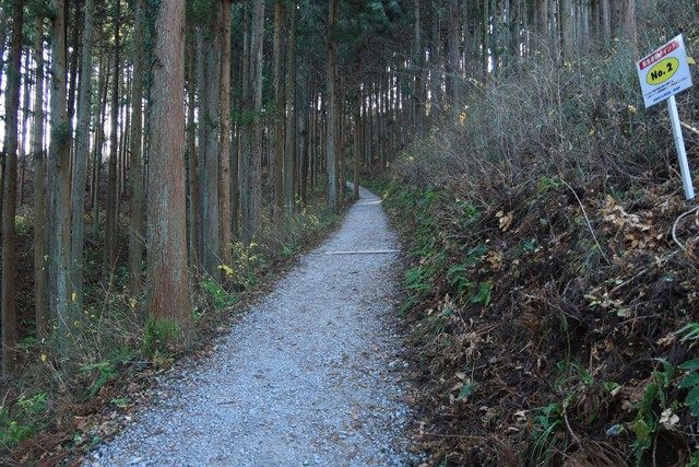 登山道は広く、そしてとても綺麗に整備されています。
傾斜も緩く難所もありません。