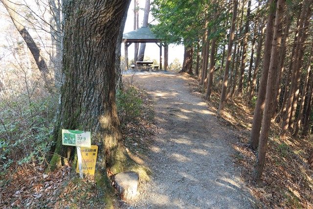 途中、海の見える東屋や切り株のベンチなども設けられています。