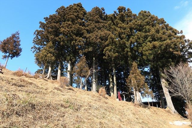 鹿狼山神社の祀られている山頂を見上げます。