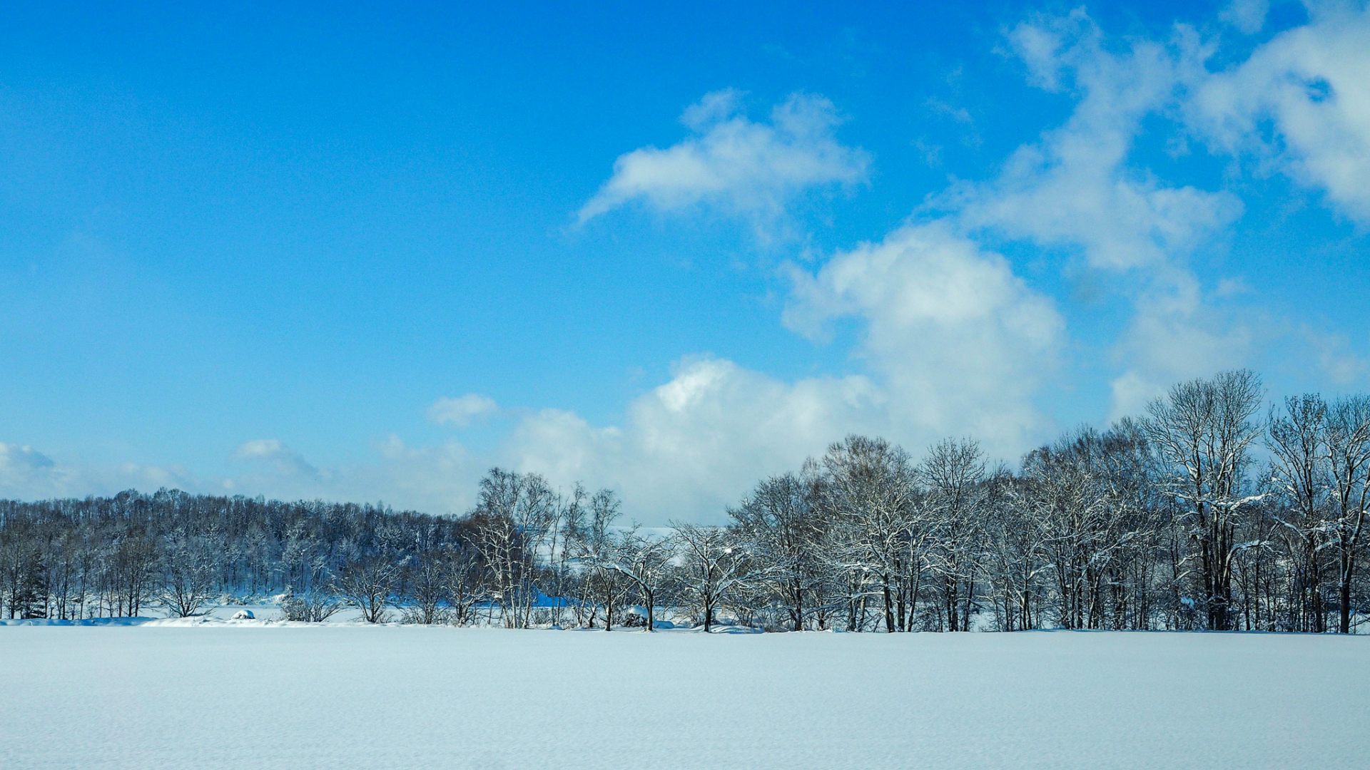 Winter view in Biei