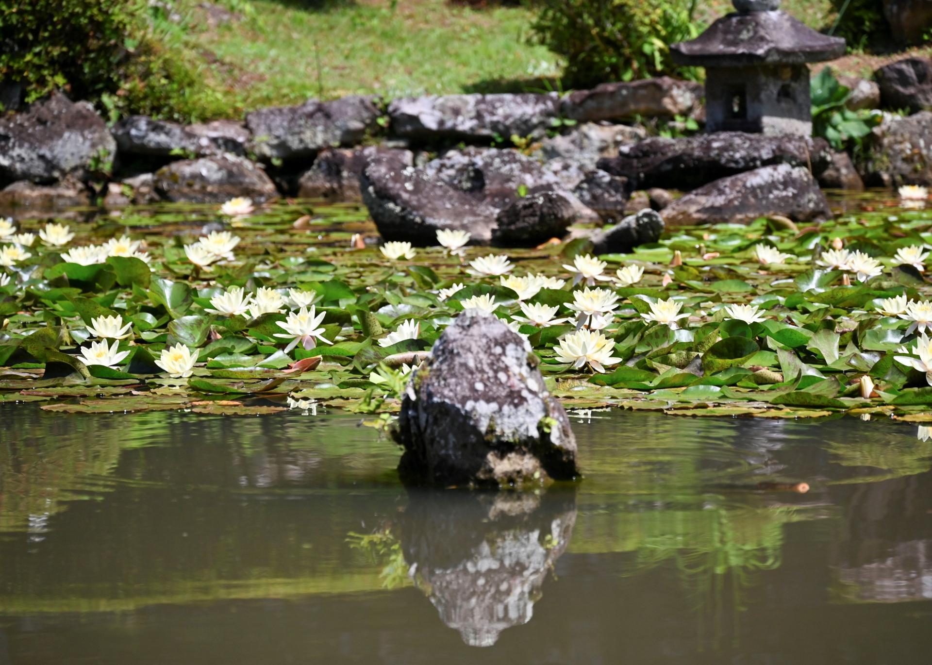 （写真提供：YasuoMaeda）