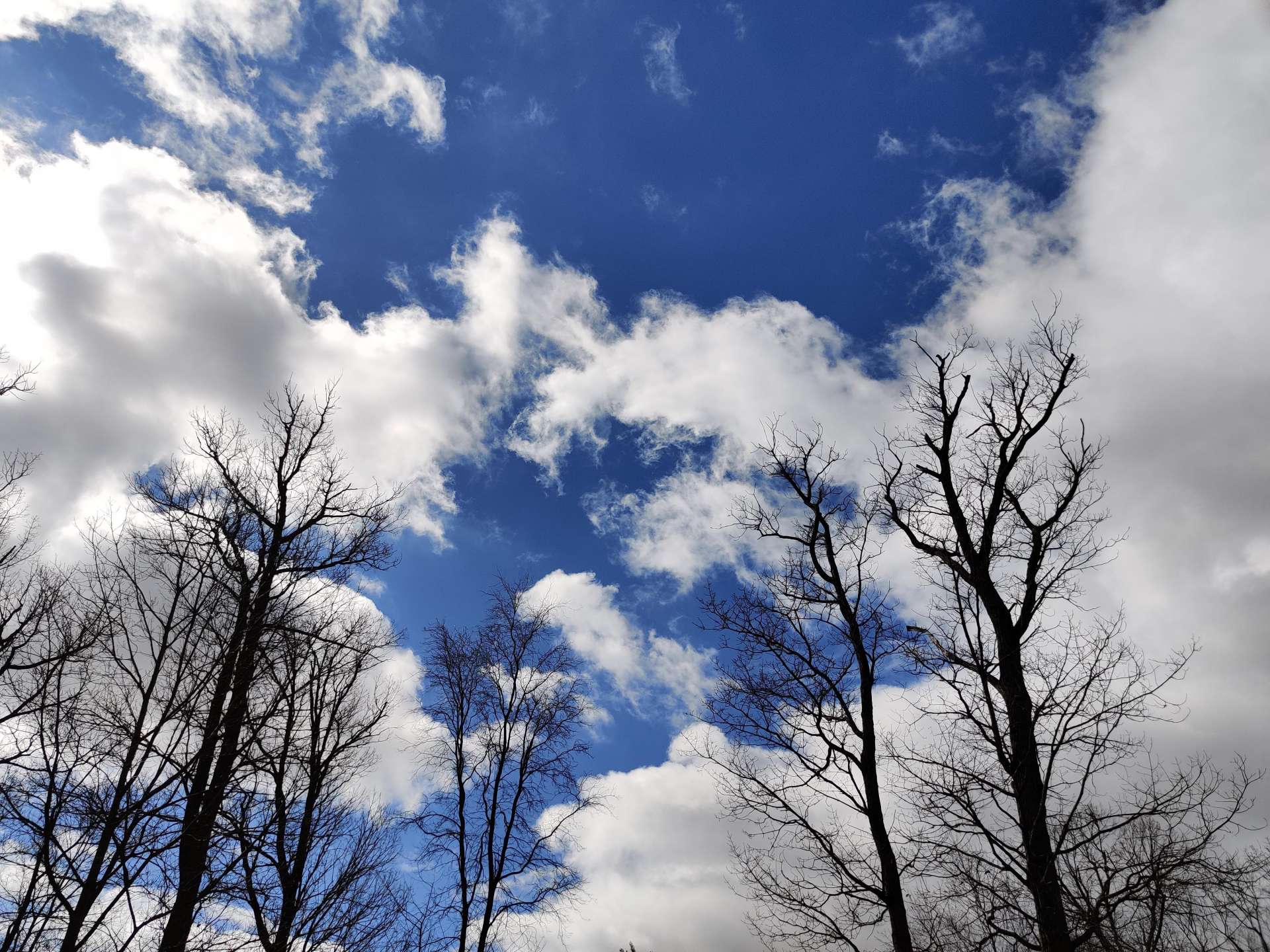 強風がおさまり青空が広がった土曜日