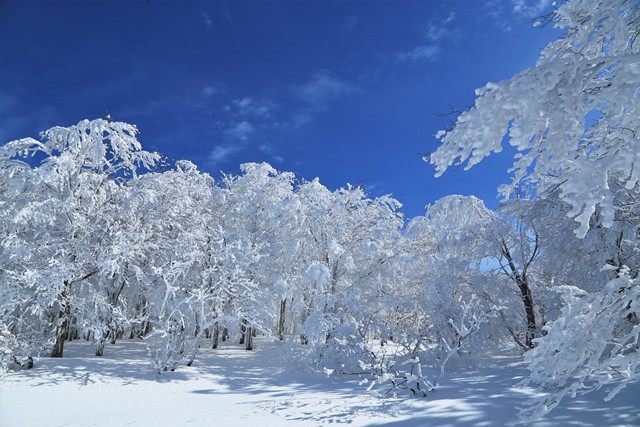 徐々に雲が取れ、日差しと共に青空が広がってきました♪