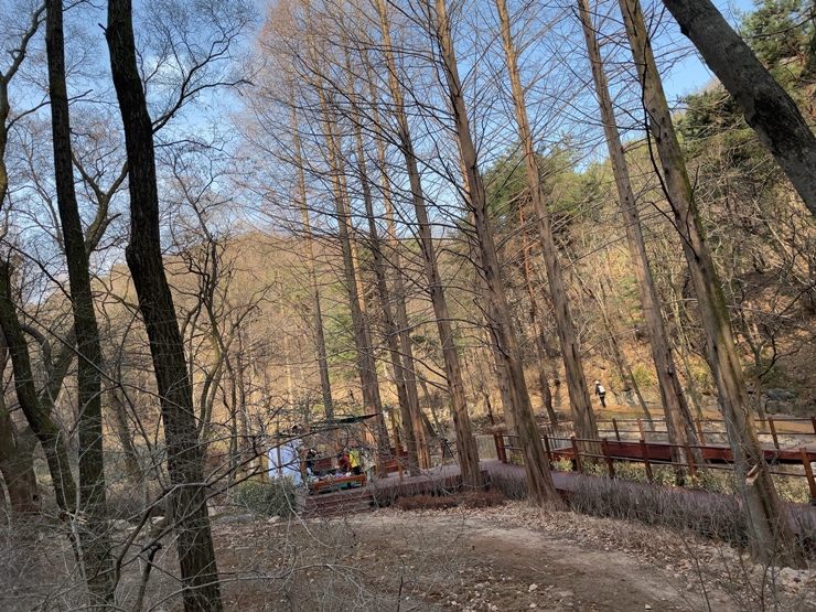 登山口周辺はなだらか