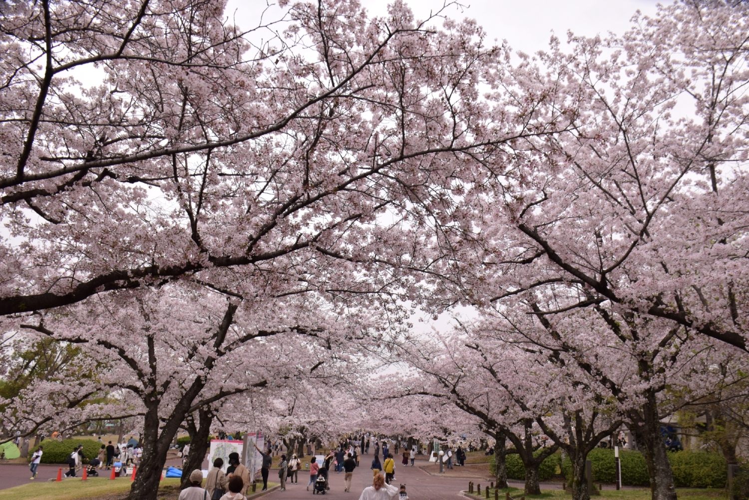 2021年3月30日