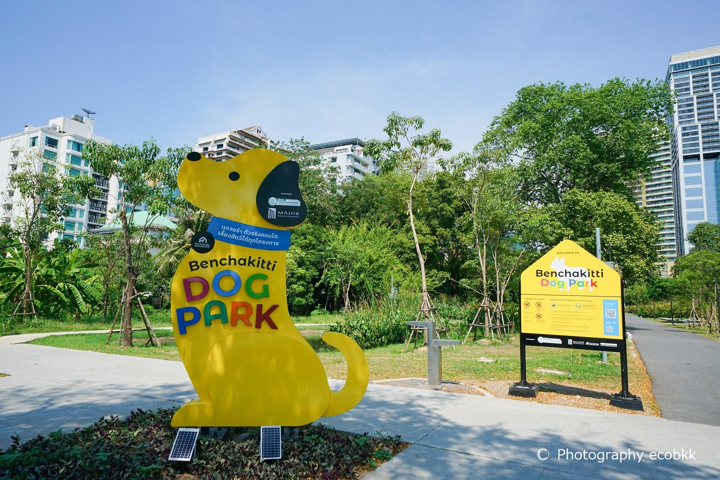 タイの首都バンコク、ベンジャキティ公園内にドッグパーク