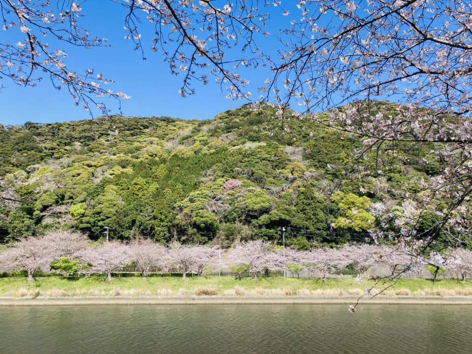 「山笑う」。
新緑の季節の到来ですね。