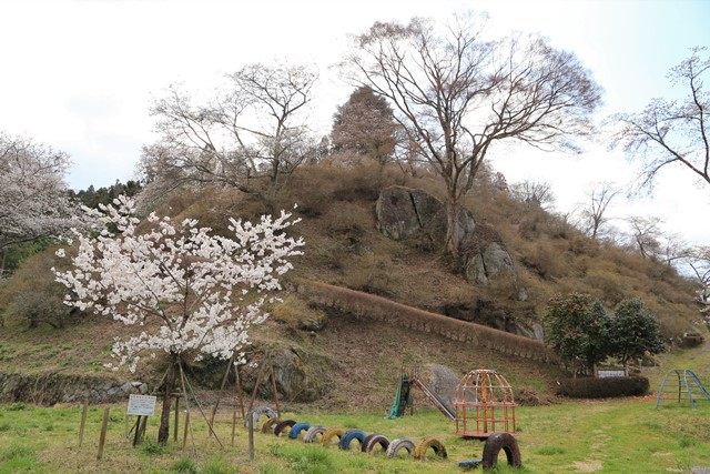 石川町の中心部にある石尊山へ行って来ました。
公園として整備されており、春は桜に彩られた街並みを手軽に俯瞰できます。
なお、石川町は[いしかわ桜谷](https://www.town.ishikawa.fukushima.jp/sakura/)として、町内の至る所に桜スポットが点在しています。