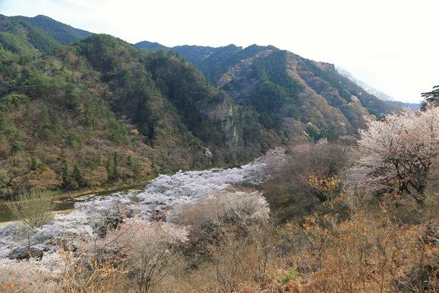 久慈川を挟んで檜山から続く稜線です。
（散策に特別な装備は不要ですが、動きやすい服装が適しています）