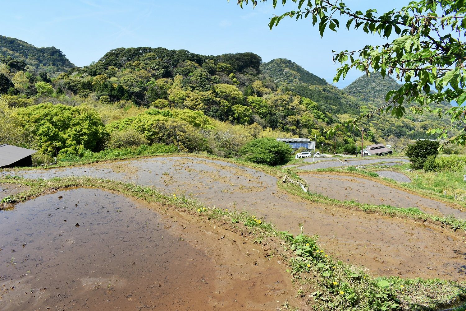 歴史は古く、江戸時代の頃から稲作りを行っていたと言われております。