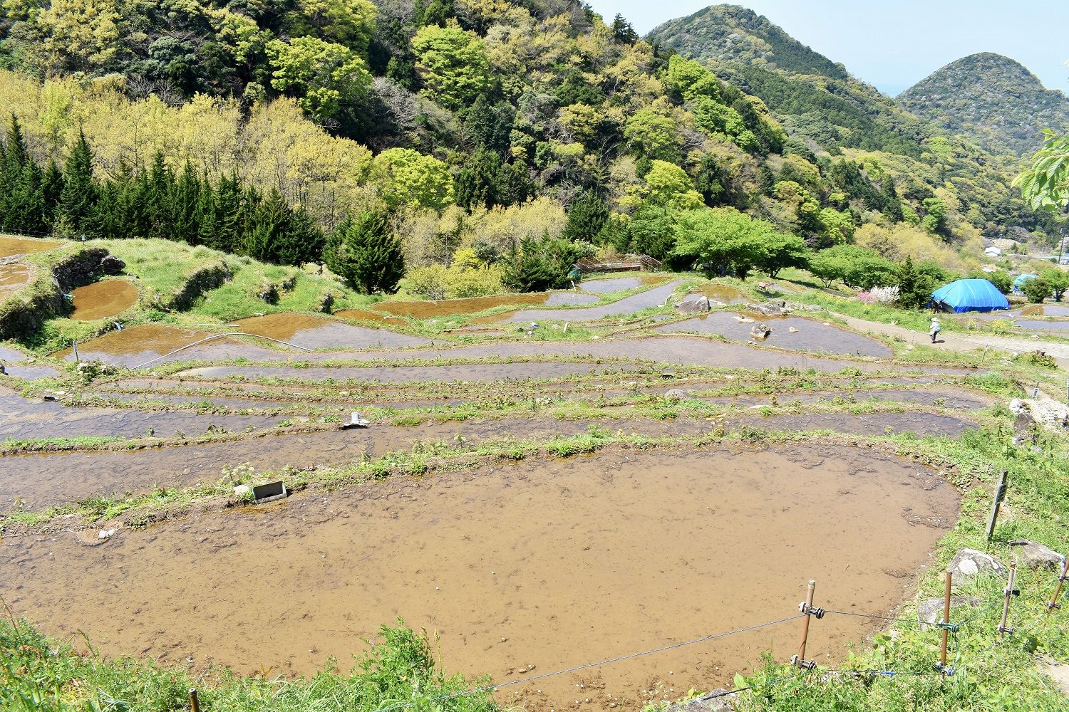 静岡県棚田等十選にも選ばれており、四季折々の景色が楽しめます。