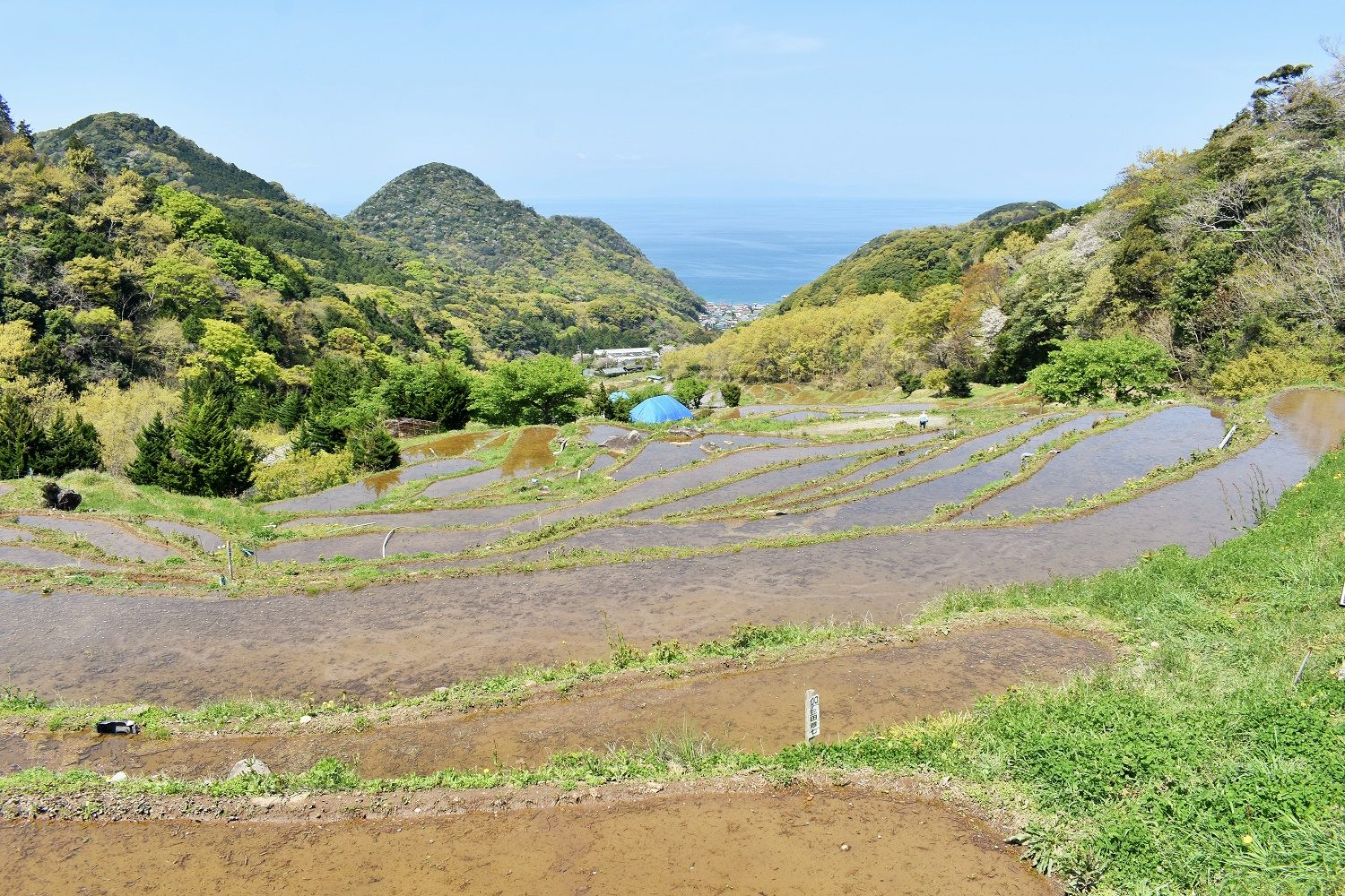 私が行った時期は、4月上旬だったため、水が張られてきた場所とそうでない場所がありました。