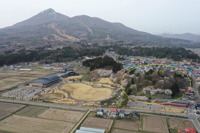 〇[亀ヶ城址公園の桜](https://www.bandaisan.or.jp/sight/kamegajo_sakura/)
町中心部の北西側にある平山城跡で、手軽に散策できるよう整備されています。