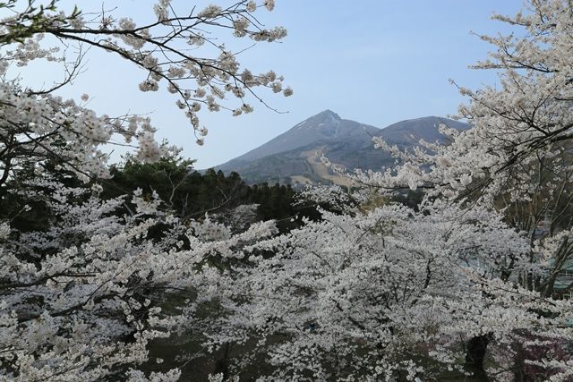 磐梯山とのコラボが美しいですね。