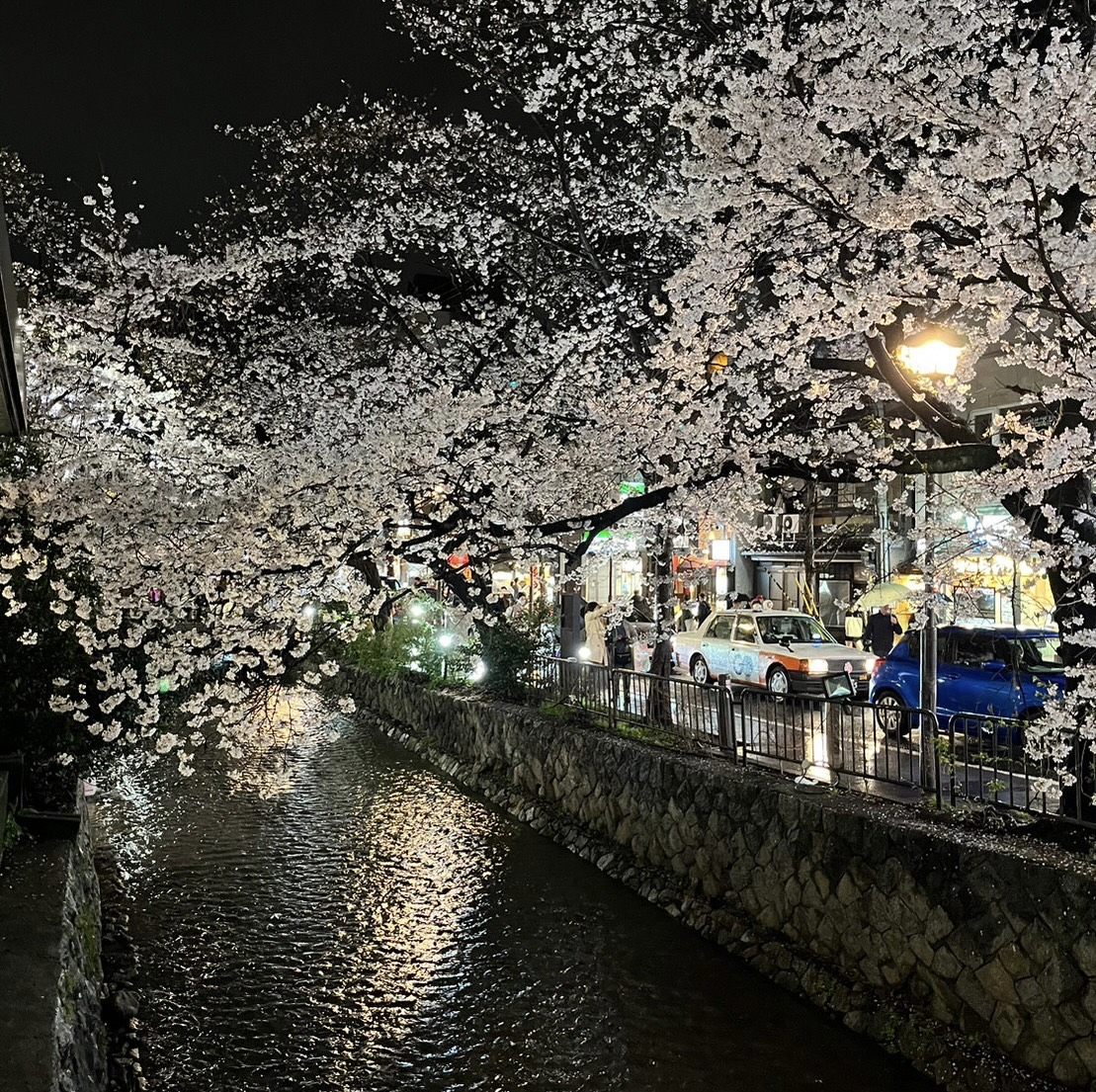 四条駅地下鉄入口付近、高瀬川沿いの桜