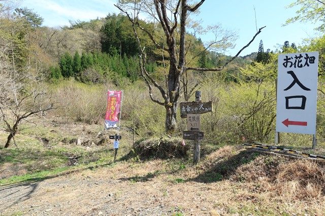 遊歩道は、[おもてごう里山クラブ](https://www.facebook.com/tngyma)によってとても綺麗に管理されています。
寄附金への協力と感謝の気持ちを忘れずに楽しみたいですね。
なお、動きやすい服装であれば十分です。