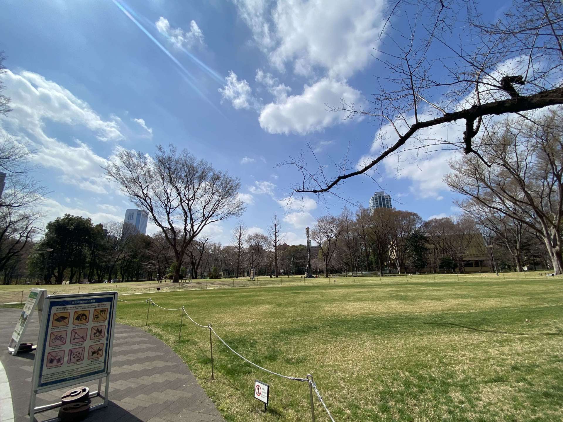 新宿中央公園北エリアにある芝生広場